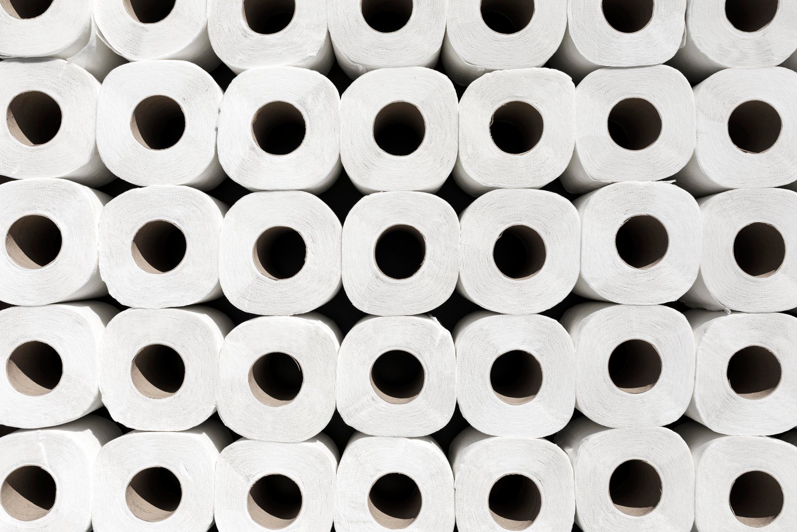 Premium Toilet Tissue
